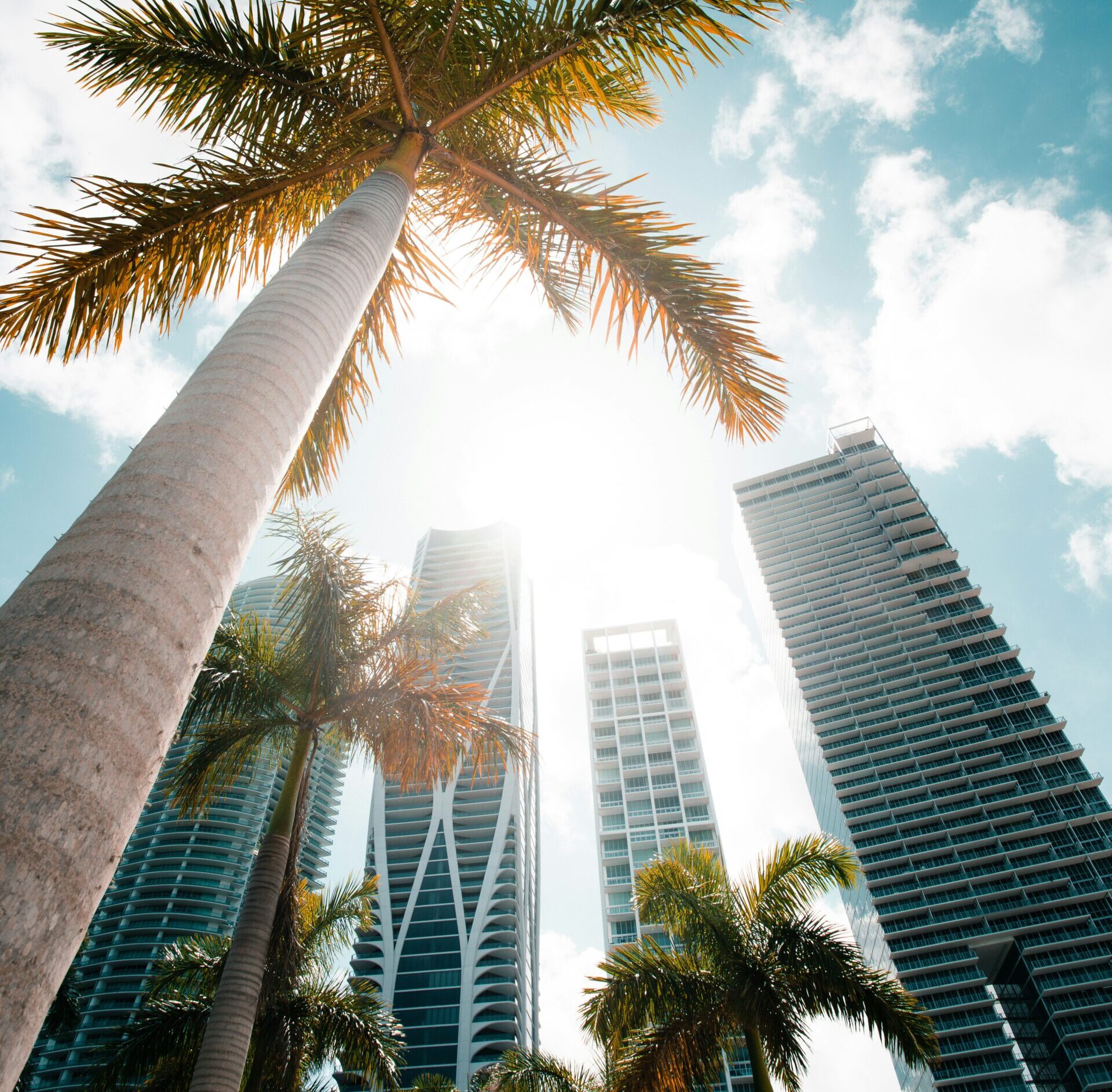 adam-thomas-bC6M3pYG71g-unsplash