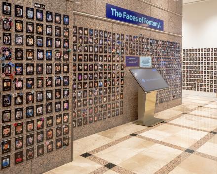 DEA Wall of Faces Reveals Fentanyl’s True Grip on Florida