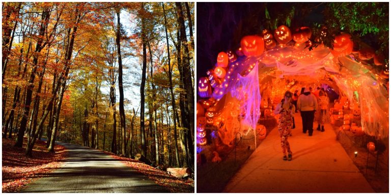 Best Florida Road Trips for Fall: Scenic Drives, Small-Town Vibes & Seasonal Surprises