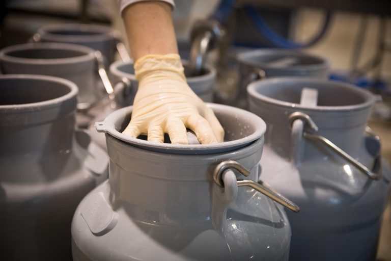 Florida Health Officials Warn of Raw Milk-Linked Illnesses From Farm in Volusia County