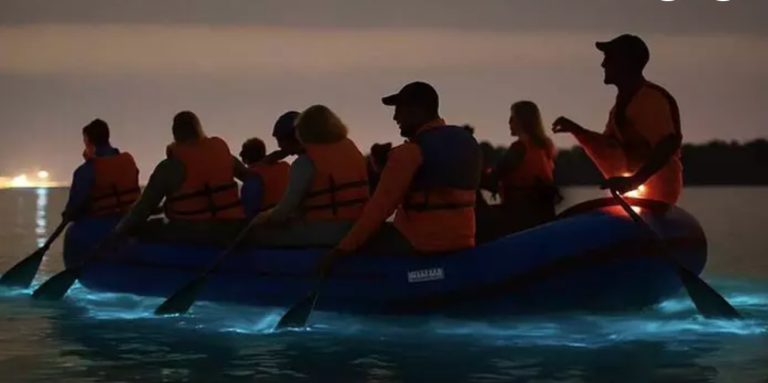 This Bioluminescent Tour Lets You Float Through Florida’s Glow-in-the-Dark Waters