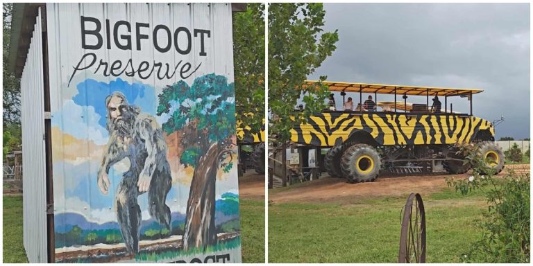This Florida Farm Takes You on a Monster Truck Ride Through Bigfoot Territory