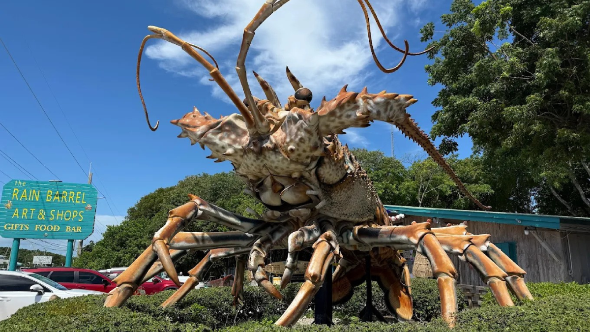 10 Bizarre Florida Roadside Stops You Have to See to Believe