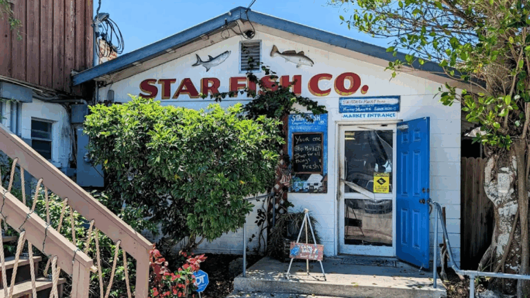 10 Charming Florida Seafood Shacks So Good, They Deserve Their Own Road Trip