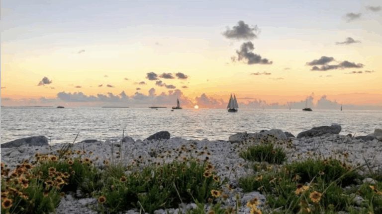 10 Florida Waterfront Parks Perfect for a Relaxing Walk