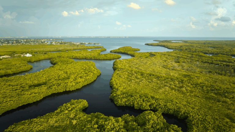 10 Outdoor Adventures in Florida You Can Do in One Weekend