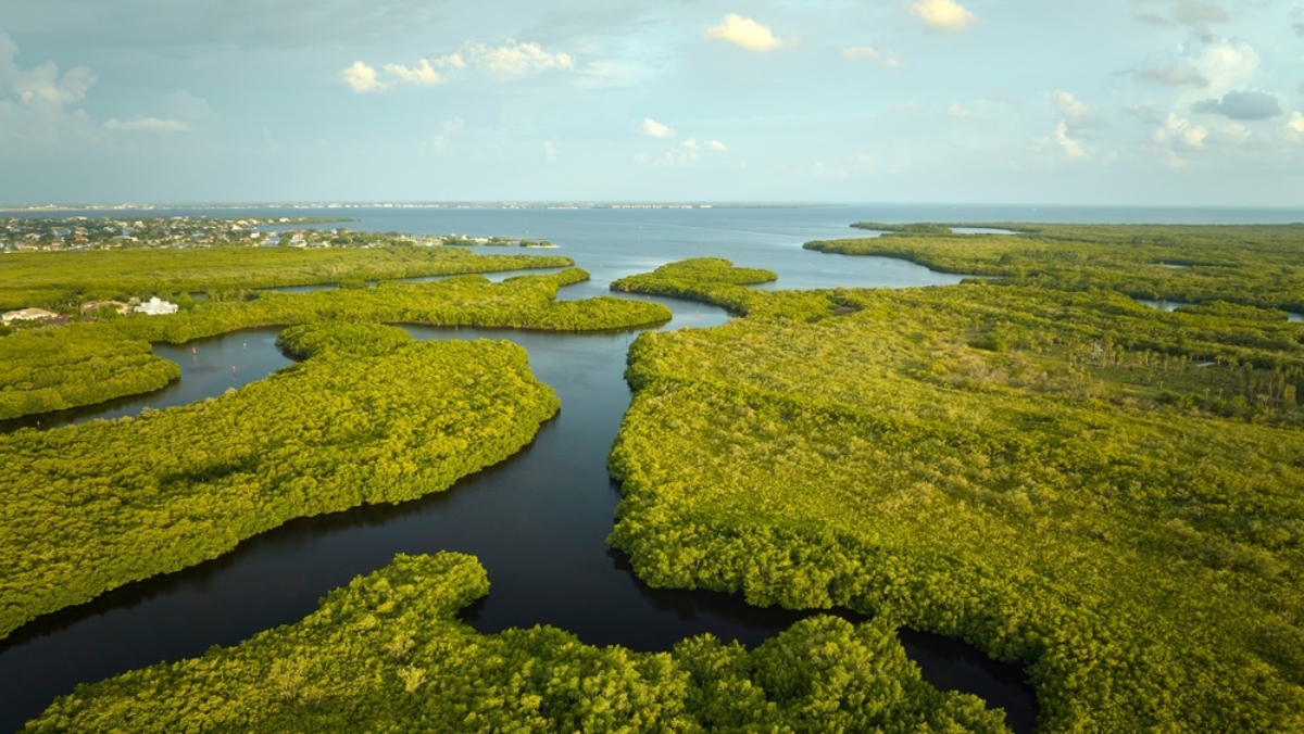 10 Outdoor Adventures in Florida You Can Do in One Weekend