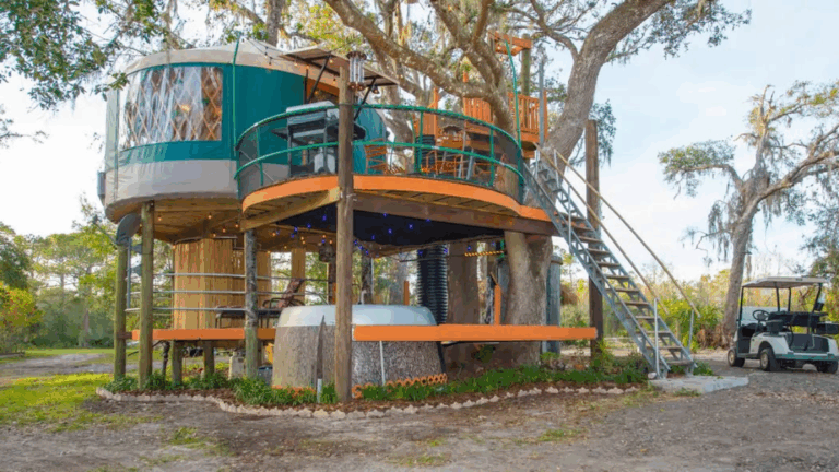 10 Unique Florida Treehouses That Let You Sleep in the Treetops