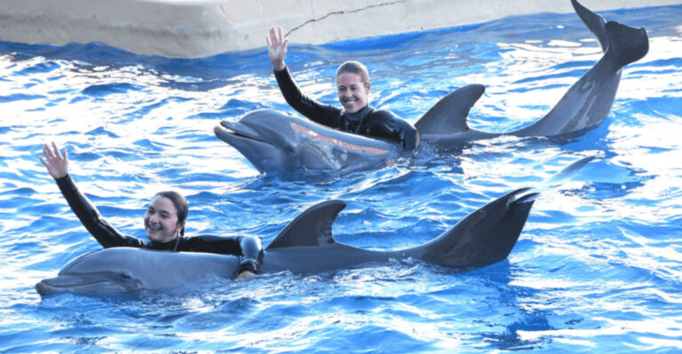 10 Best Florida Aquariums to Visit At Least Once