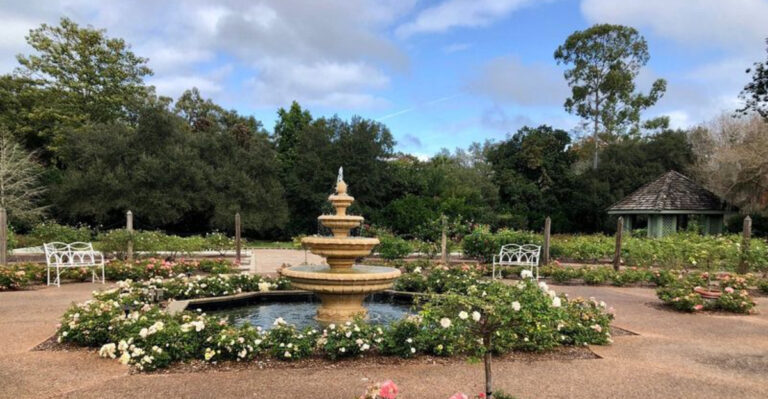 10 Best Florida Parks for Seniors to Relax and Enjoy Nature