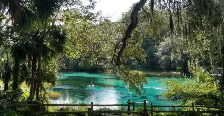 10 Best Natural Springs in Florida for Swimming, Snorkeling & Kayaking