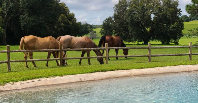 10 Calm, Crowd-Free Florida Escapes Hidden in Plain Sight