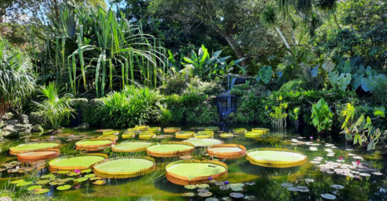 10 Florida Botanical Gardens Worth Visiting This Winter