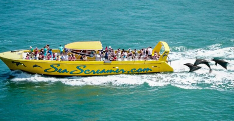 10 Unexpected Places in Florida Where You Can See Wild Dolphins