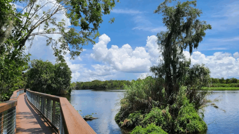 11 Dog-Friendly Hiking Trails in Florida Where Your Pup Can Explore the Great Outdoors