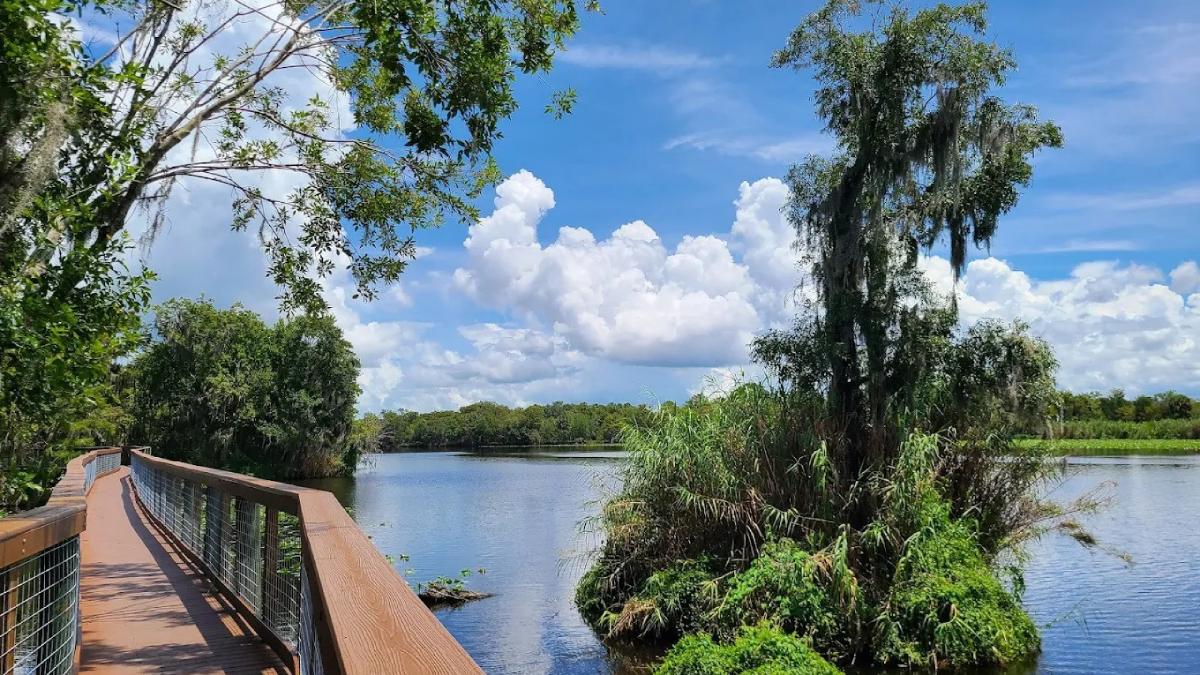 11 Dog-Friendly Hiking Trails in Florida Where Your Pup Can Explore the Great Outdoors