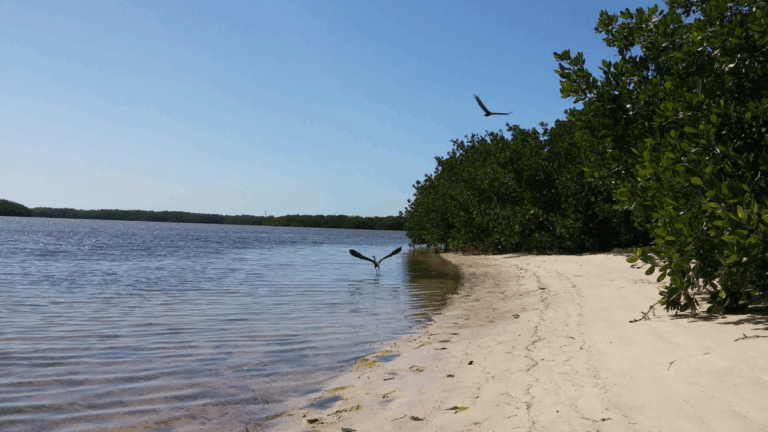 11 Florida State Parks That Feel Extra Magical This Time of Year