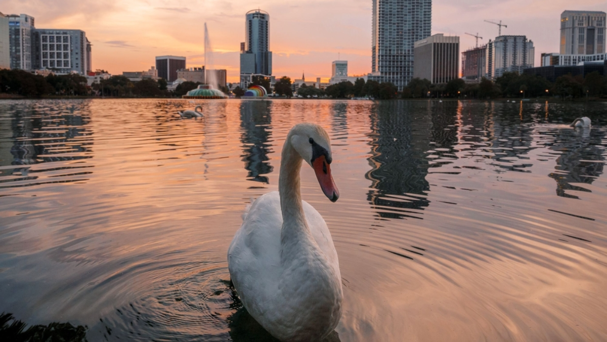 11 Orlando Date Ideas That Go Way Beyond Dinner and a Movie