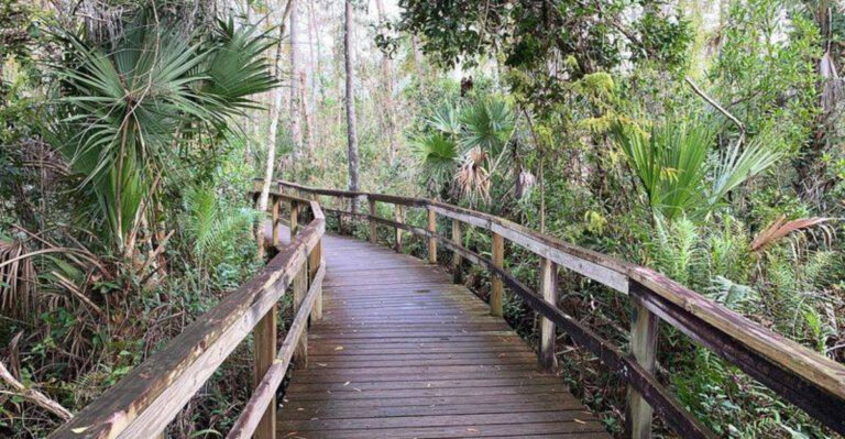 11 Florida Boardwalks So Beautiful You’ll Forget You’re Still in the U.S.