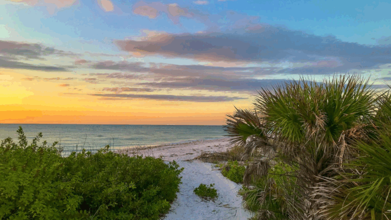 12 Must-Visit Florida Parks Kids Will Never Want to Leave