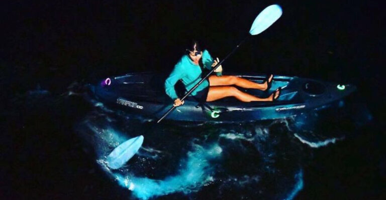 5 Otherworldly Places to Experience Bioluminescent Kayaking in Florida