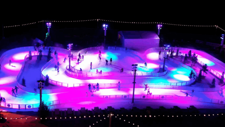 7 Things You Never Thought You Could Do in Florida