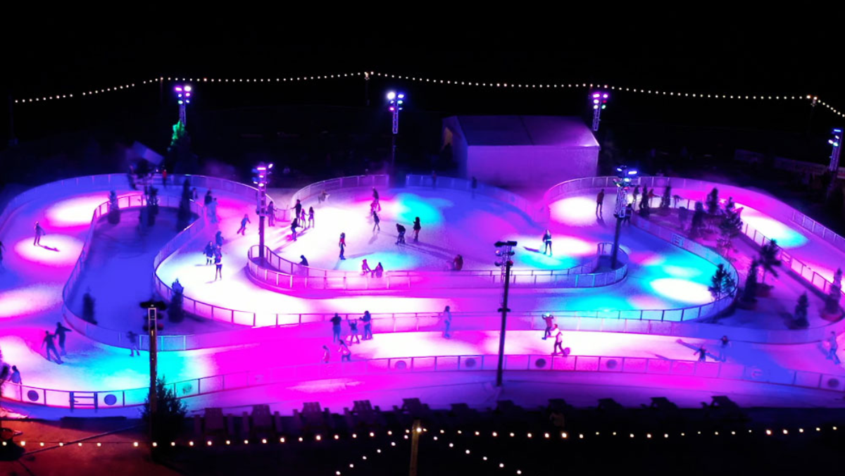 7 Things You Never Thought You Could Do in Florida