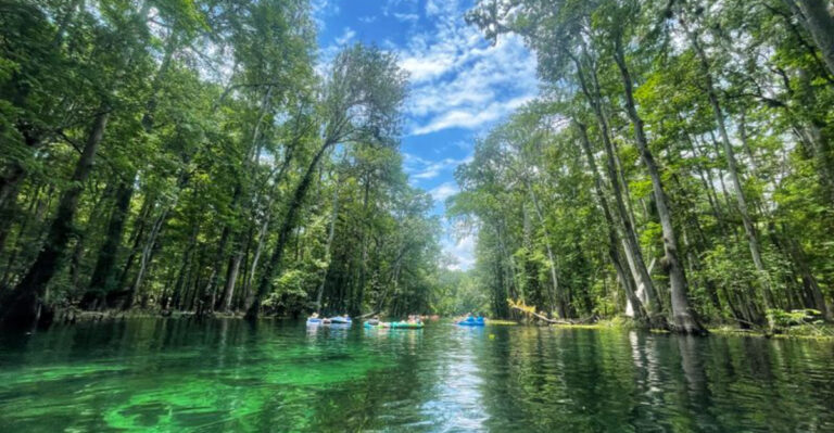 7 Florida Rivers So Beautiful You’ll Stop Missing the Beach
