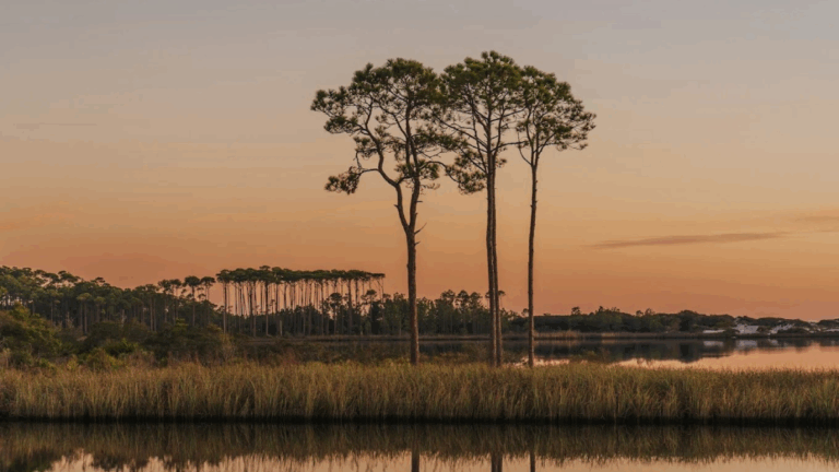 8 Florida Trails With Sunset Views That Will Take Your Breath Away