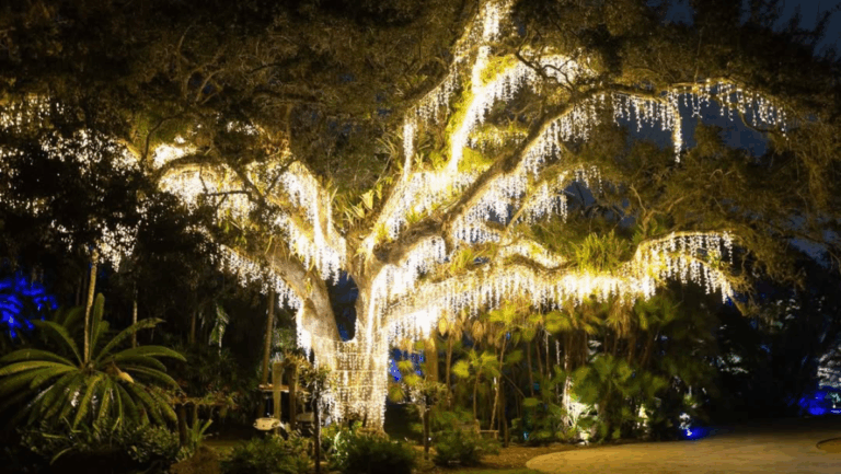9 Florida Botanical Gardens With Special Winter Events and Light Displays