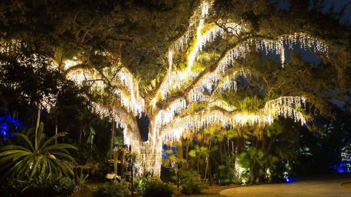 9 Florida Botanical Gardens With Special Winter Events and Light Displays