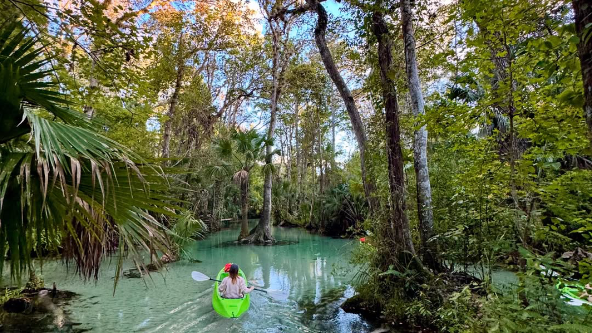 Florida Kayaking and Paddleboarding Spots Worth Getting Wet For