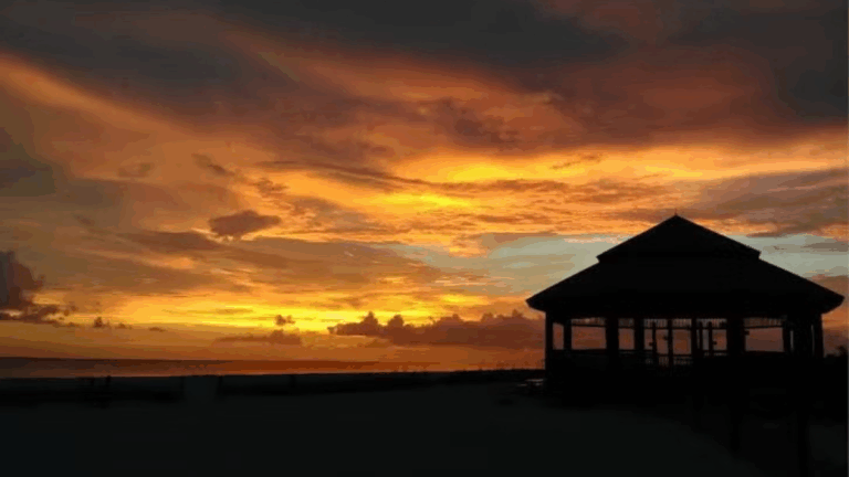 Florida Picnic Spots So Pretty You'll Want to Stay All Day