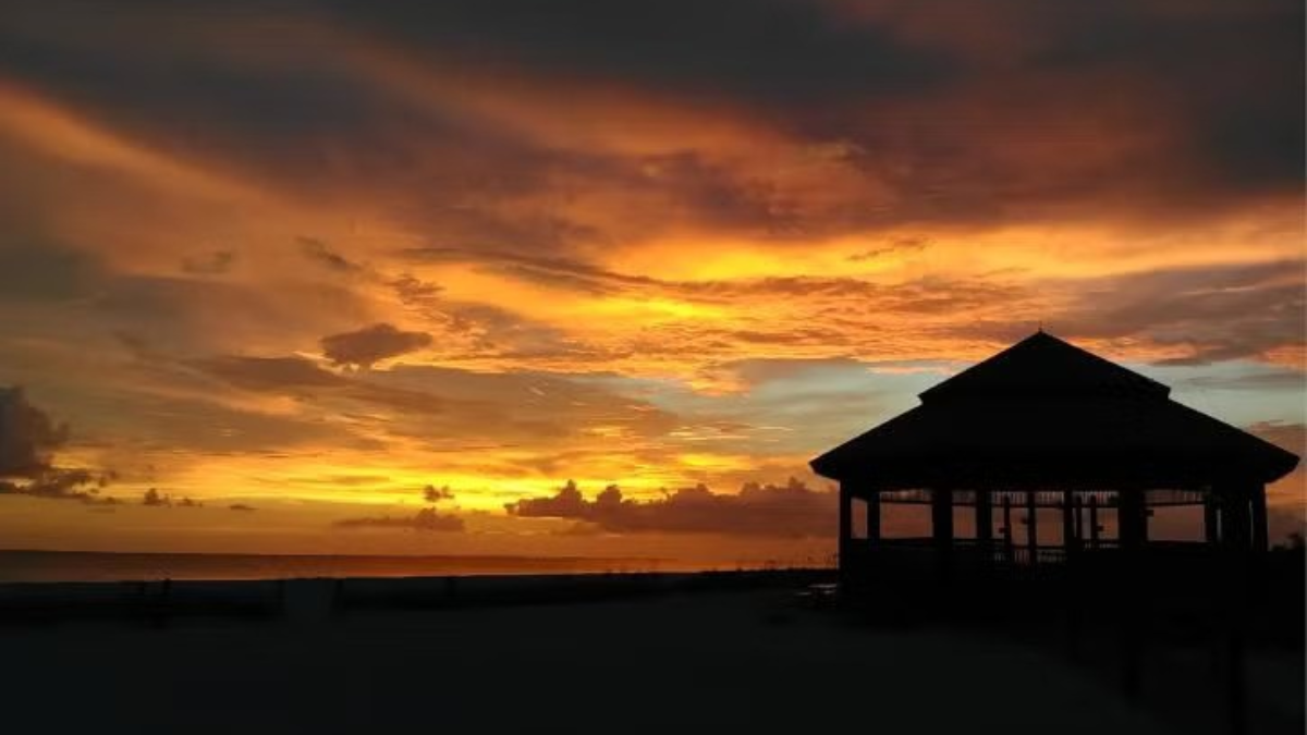 Florida Picnic Spots So Pretty You'll Want to Stay All Day