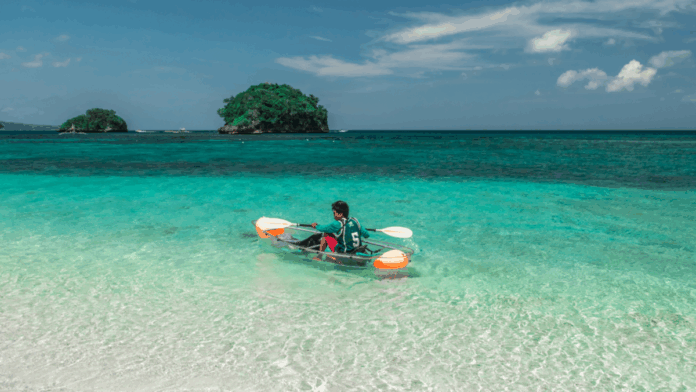 Florida's Best Glass-Bottom Boat Tours for Stunning Underwater Views