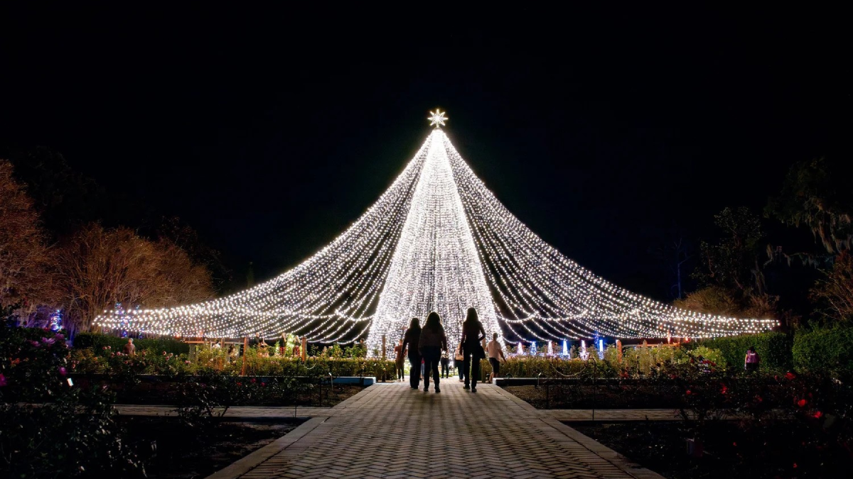 Florida's Best Night Gardens to Visit While They're Lighting Up This Season