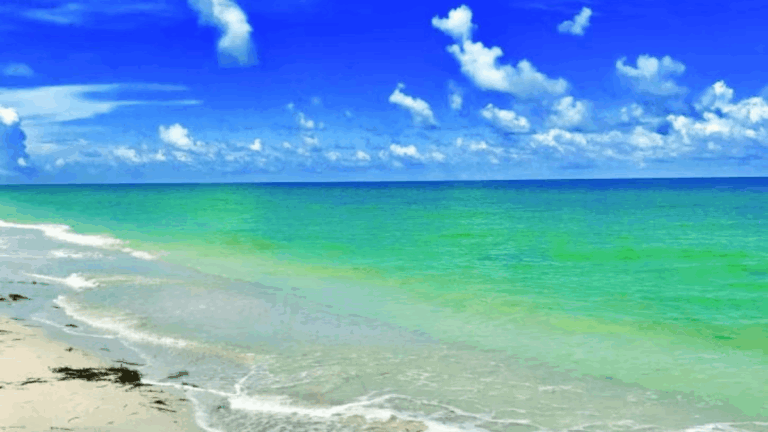 Florida's Most Instagrammable Hidden Gems You Never Knew Existed