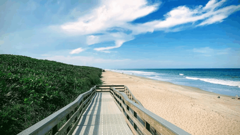 Last Call: The Best Florida National Parks to Visit During November