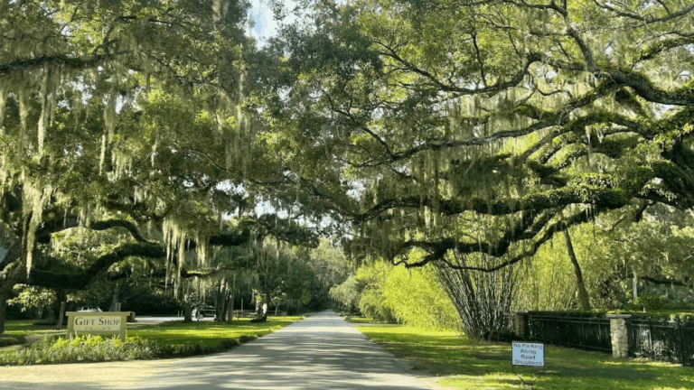 The Best Places to Visit in Florida This Season If You Hate Crowds