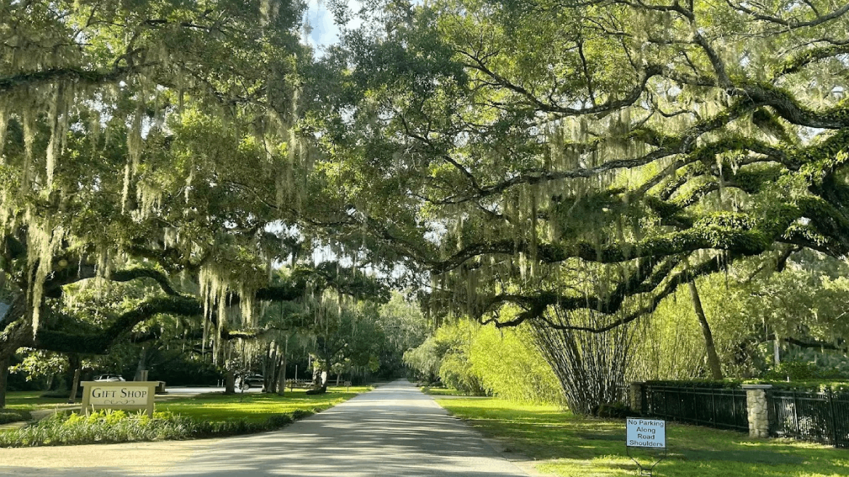 The Best Places to Visit in Florida This Season If You Hate Crowds