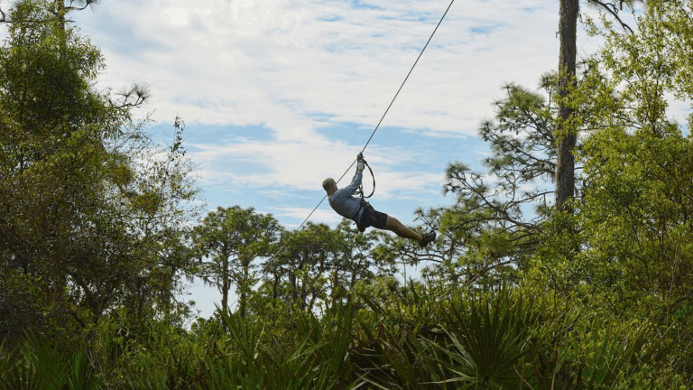 The Best Places to Zipline in Florida for Serious Sky-High Thrills