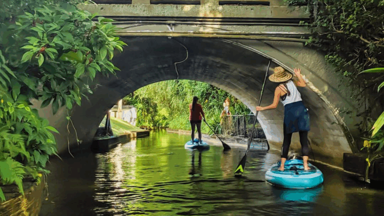 The Must-See Florida Attraction Everyone Should Add to Their Bucket List