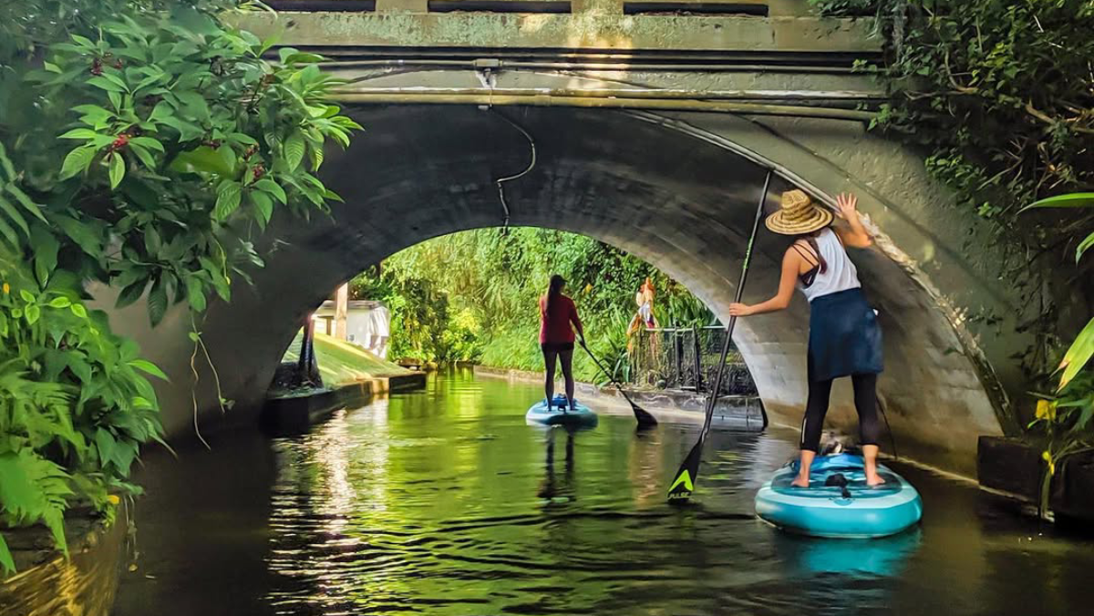 The Must-See Florida Attraction Everyone Should Add to Their Bucket List