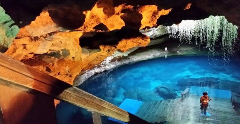 Exploring Florida’s Sinkholes That Draw Visitors from Around the World