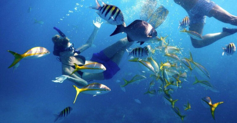 Florida’s Most Stunning Snorkeling Destinations