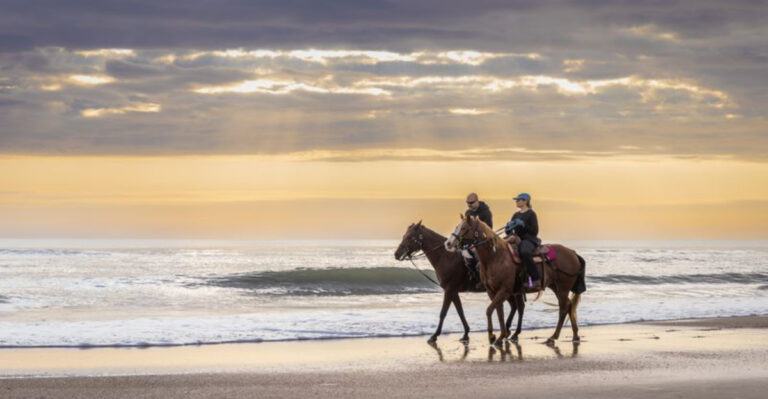 Florida’s Most Unique Animal Encounters You Can Actually Book