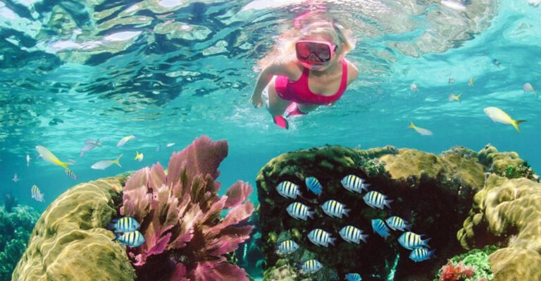 Key Largo’s Hidden Beaches and Eco-Tours You’ll Fall For