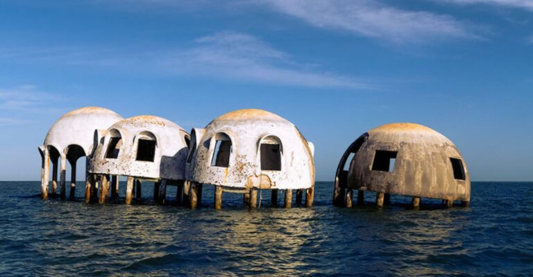 Natural Phenomena in Florida You Can Only See a Few Weeks a Year