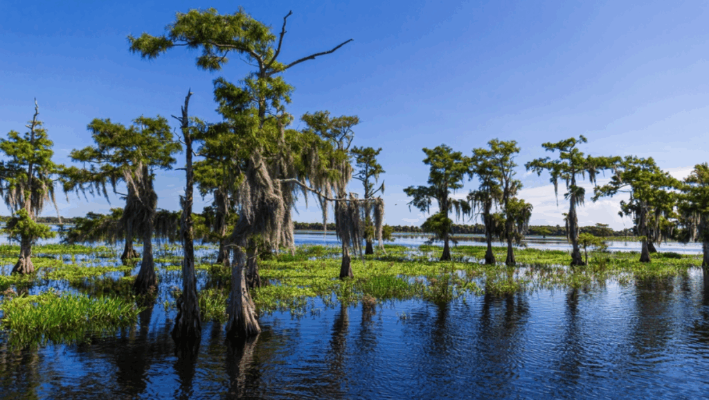 10 Natural Wonders Within 2 Hours of Miami