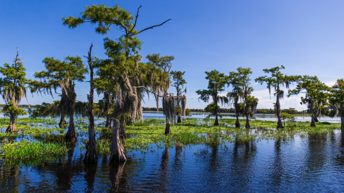 10 Natural Wonders Within 2 Hours of Miami